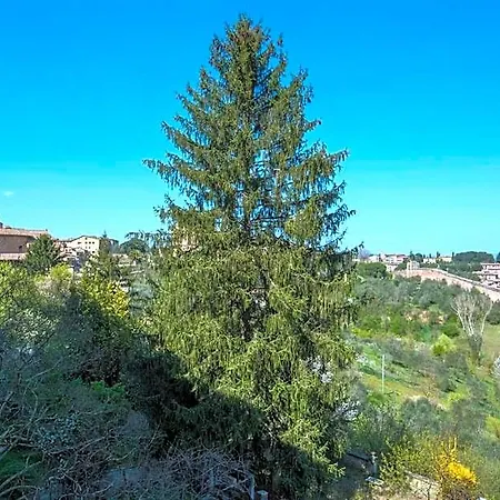 Pantaneto - Palazzo Bulgarini Bed & Breakfast