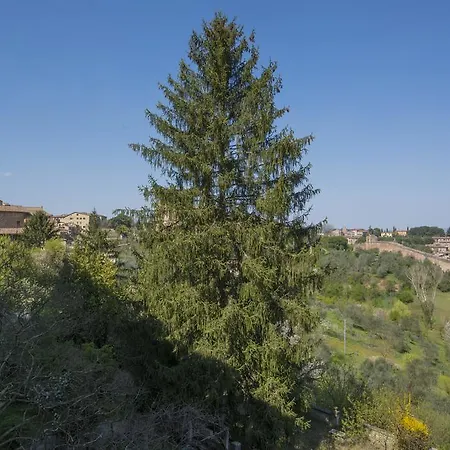 Pantaneto - Palazzo Bulgarini Oda ve Kahvaltı Siena