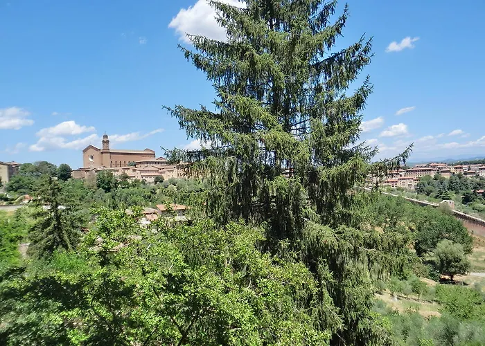 Pantaneto - Palazzo Bulgarini 3* Siena